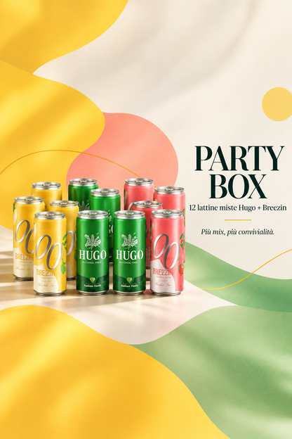 PARTY BOX - 12 lattine